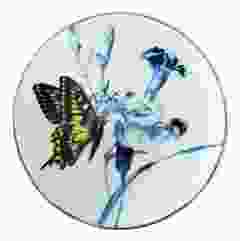 Wandbord Koninginnepage, 16 cm