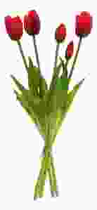 Tulpen Kunstbloem Boeket 5 stuks, 'Rood' 39 cm