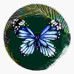 Wall plate "Butterfly", dimension 16 cm